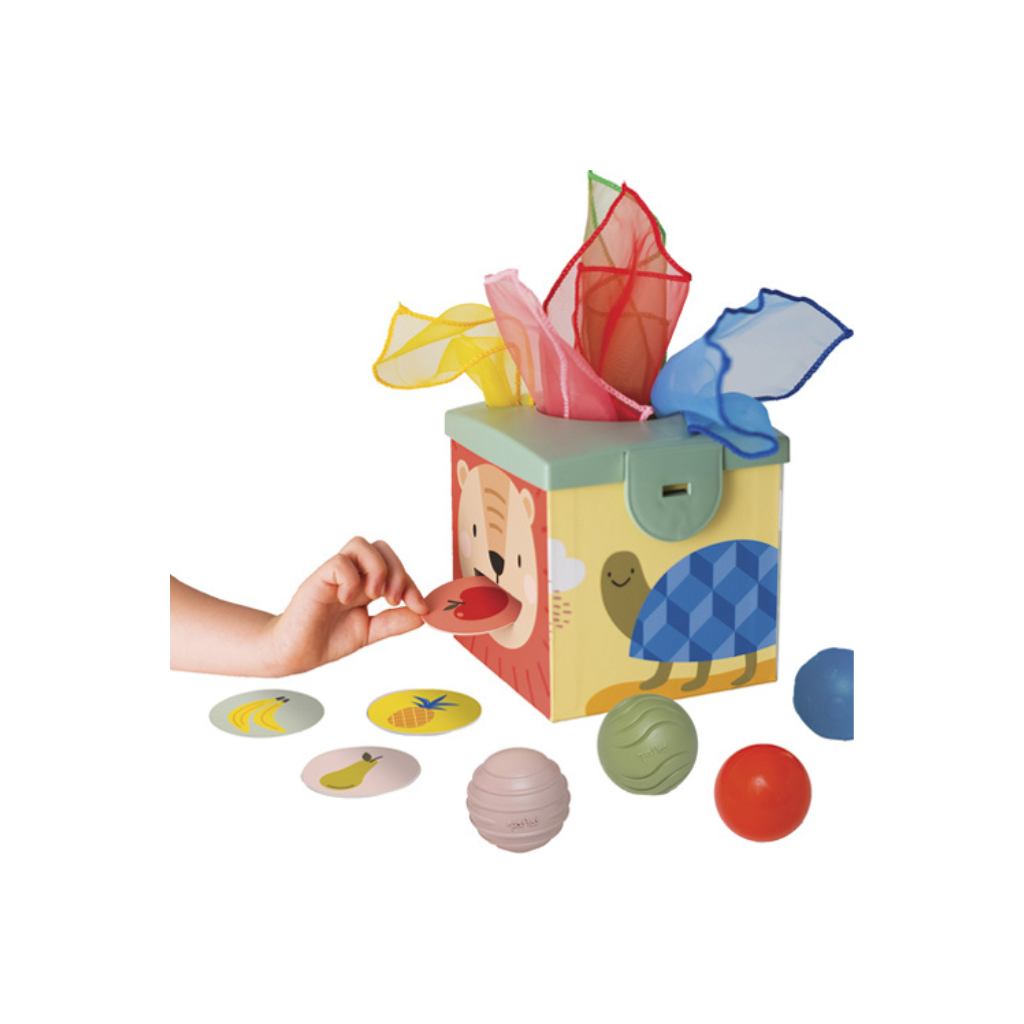 Taf Toys Magic Box 