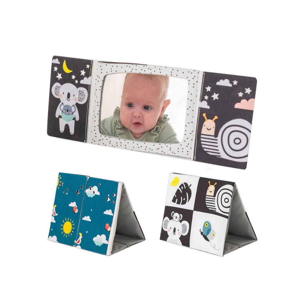 Taf Toys Tummy-time Mirror Books 