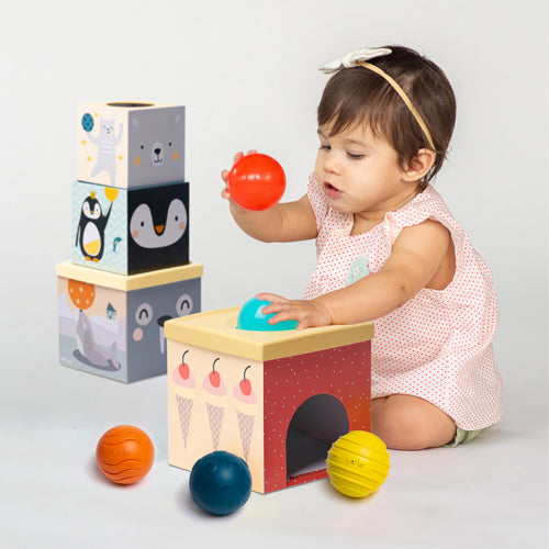 Taf Toys Bắc Cực Thả Bóng Stacker