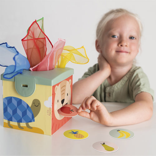 Taf Toys Magic Box 